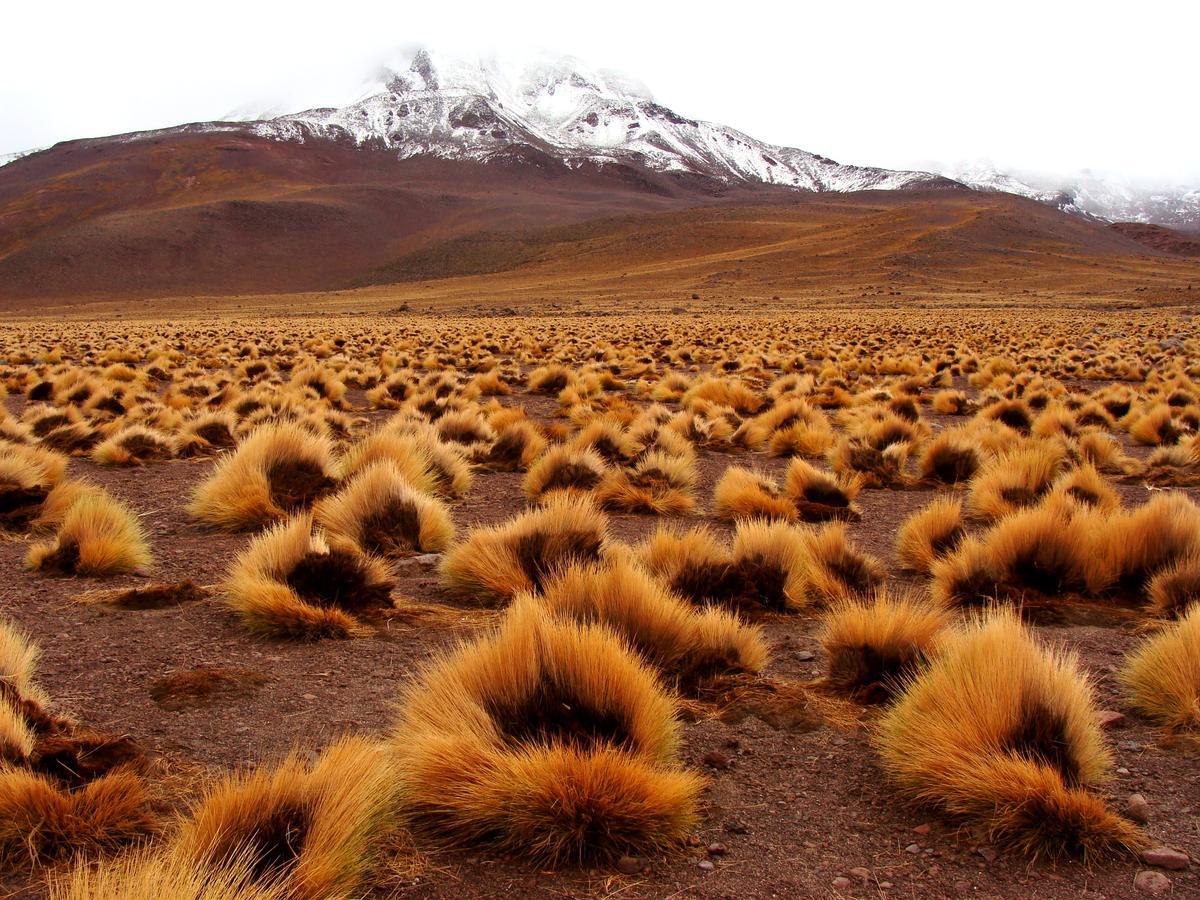 Hotel Maray Copiapó Eksteriør bilde